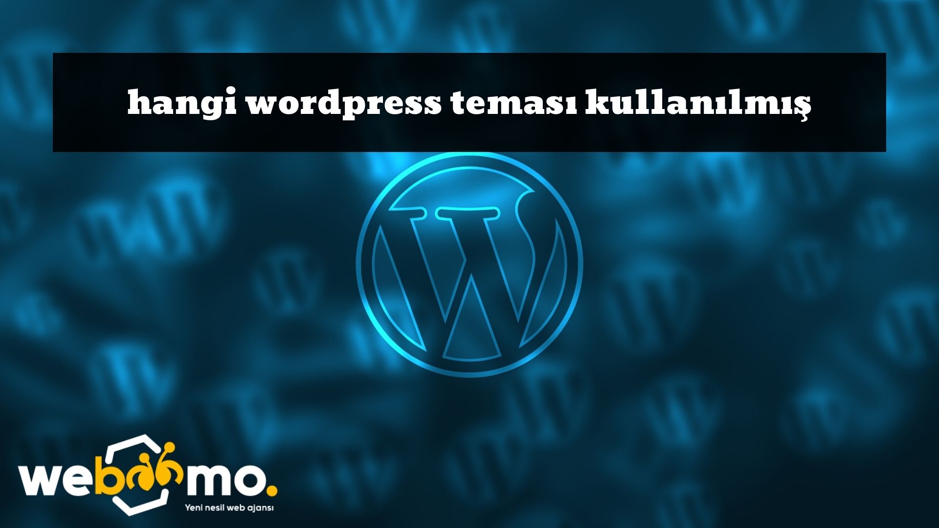 Hangi Wordpress Teması Kullanılmış