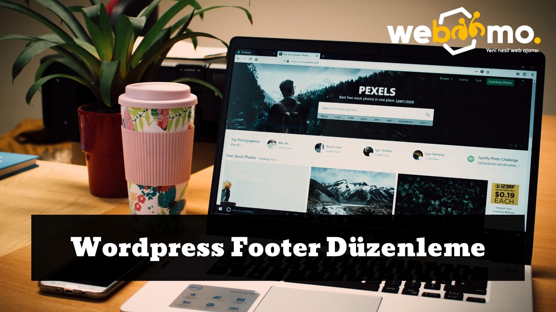 Wordpress Footer Duzenleme