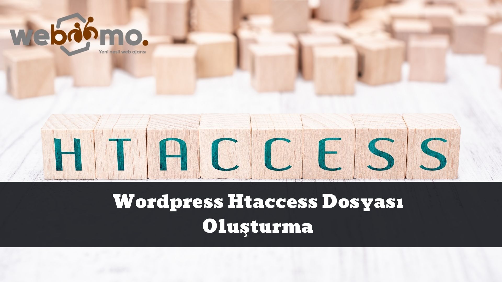 Wordpress Htaccess Dosyası Oluşturma