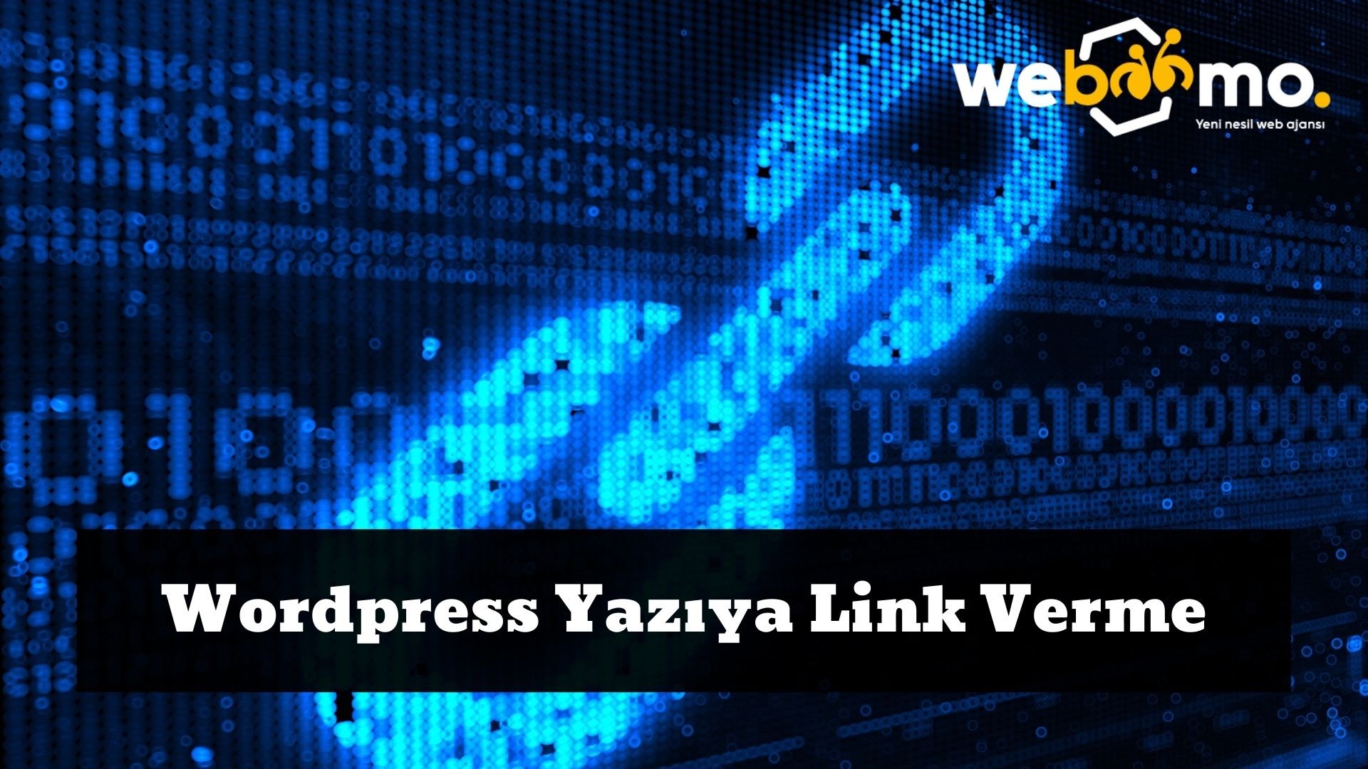 Wordpress Yaziya Link Verme